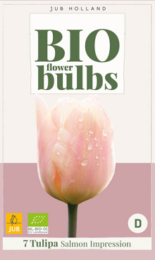 X   7 TULIPA SALMON IMPRESSION - BIO 11/+