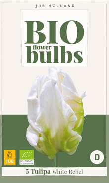 X   5 TULIPA WHITE REBEL - BIO 11/+