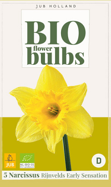 X   5 NARCISSUS RIJNVELDS EARLY SENSATION - BIO 10/12