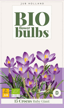 X 15 CROCUS TOMMASINIANUS RUBY GIANT - BIO 5/+