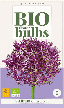 X   5 ALLIUM CHRISTOPHII - BIO 10/12