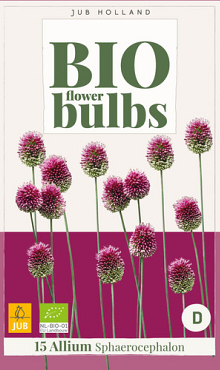 X 15 ALLIUM SPHAEROCEPHALON - BIO 5/6