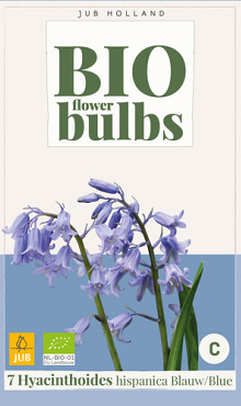 X   7 HYACINTHOIDES HISPANICA BLAUW - BIO 7/+