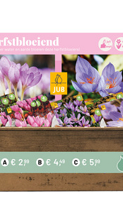 OPZETDOOS 4 X 15 NAJAARSBLOEIERS I