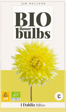 X 1 BIO DAHLIA BILBAO  I